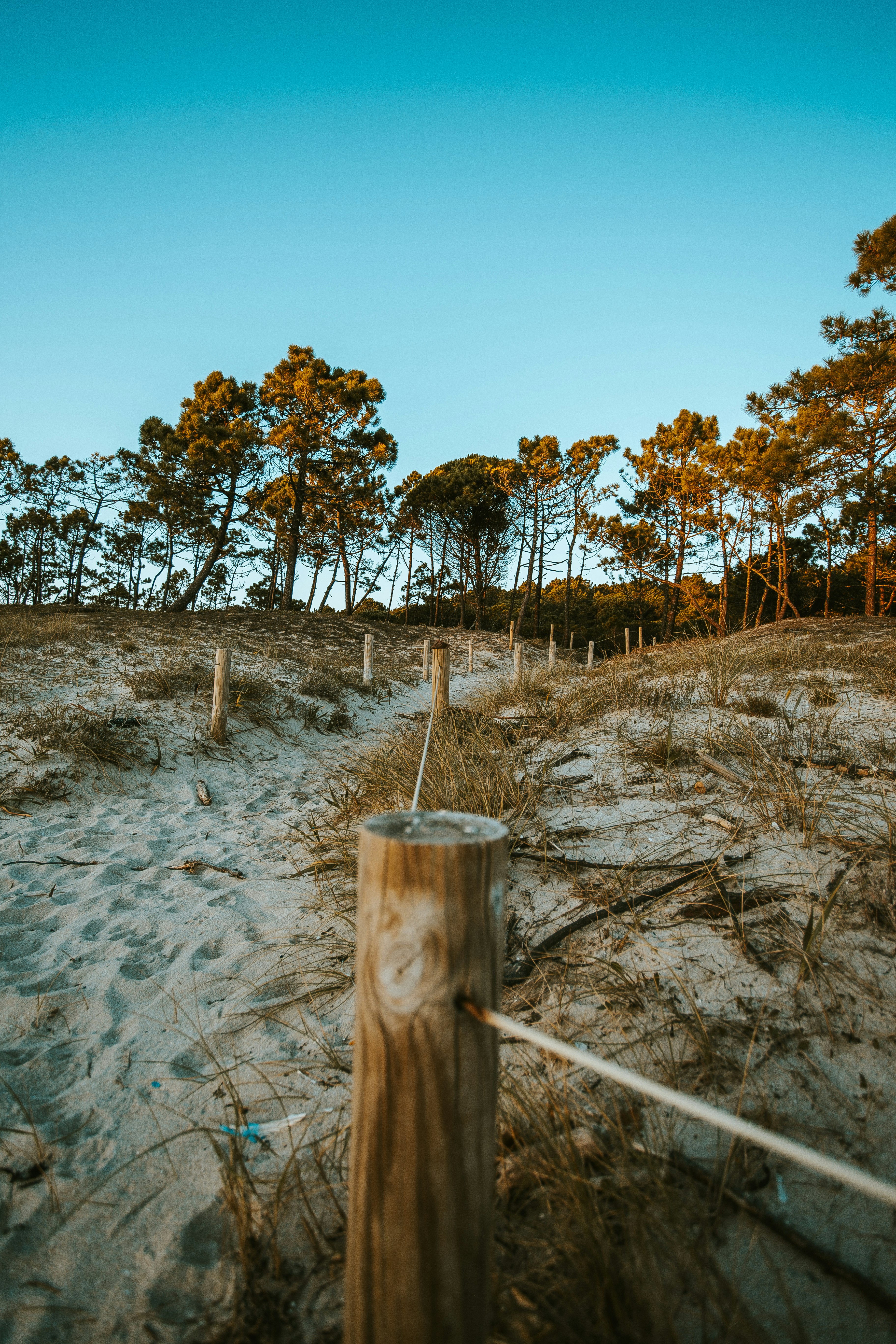 brown wood fence